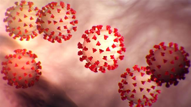 Coronavirus was produced in a laboratory: Former CIA intel officer